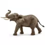 schleich WILD LIFE africký slon, samec, 3 rok(y), safari, divé zvieratá / dobrodružná hračka, viacfarebná, plast, 1 kus