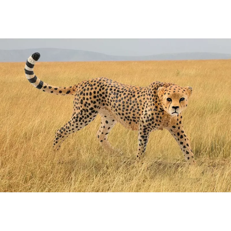 Figúrka Schleich WILD LIFE gepard samica 14746