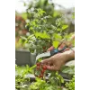 Gardena VeggieCut nožnice na konáre čierna zelená čepele z ušľachtilej ocele