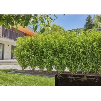 Zavlažovací systém Gardena 13500-20