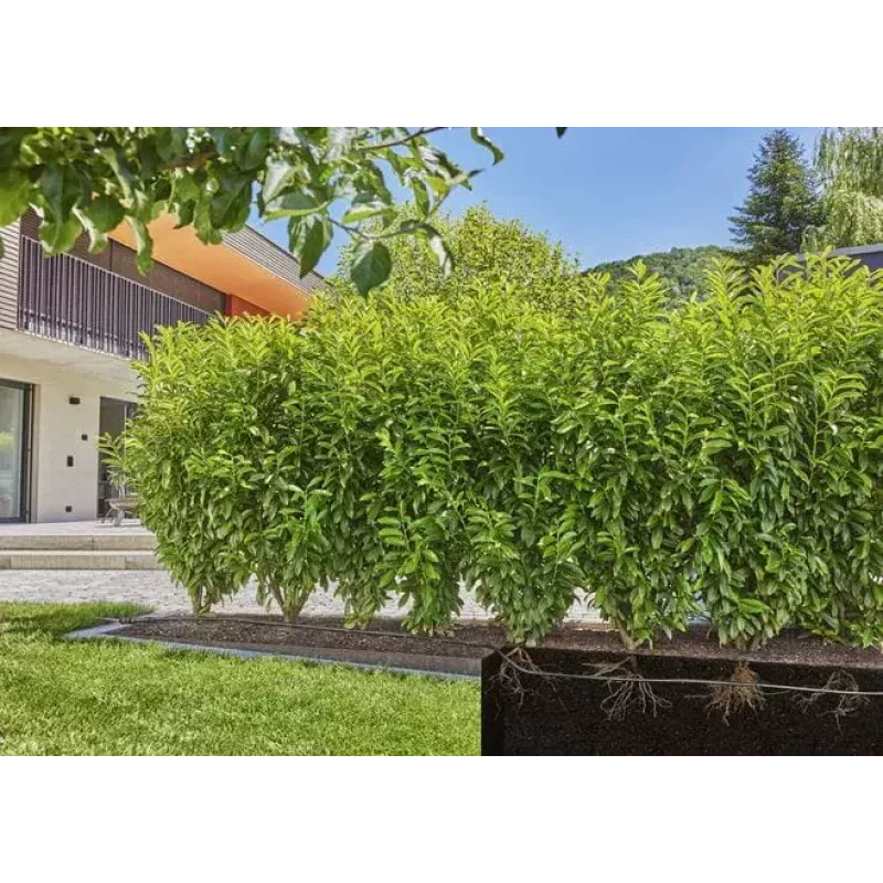 Zavlažovací systém Gardena 13500-20