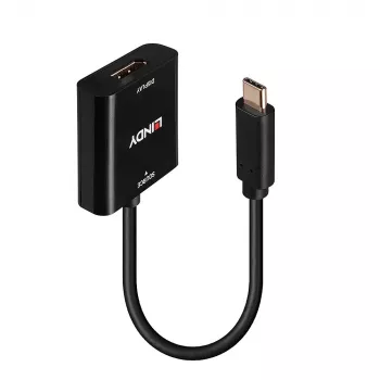 Lindy USB Type-C na DisplayPort 4K144 konvertor, USB Type-C, DisplayPort výstup, 3840 x 2160 pixelov
