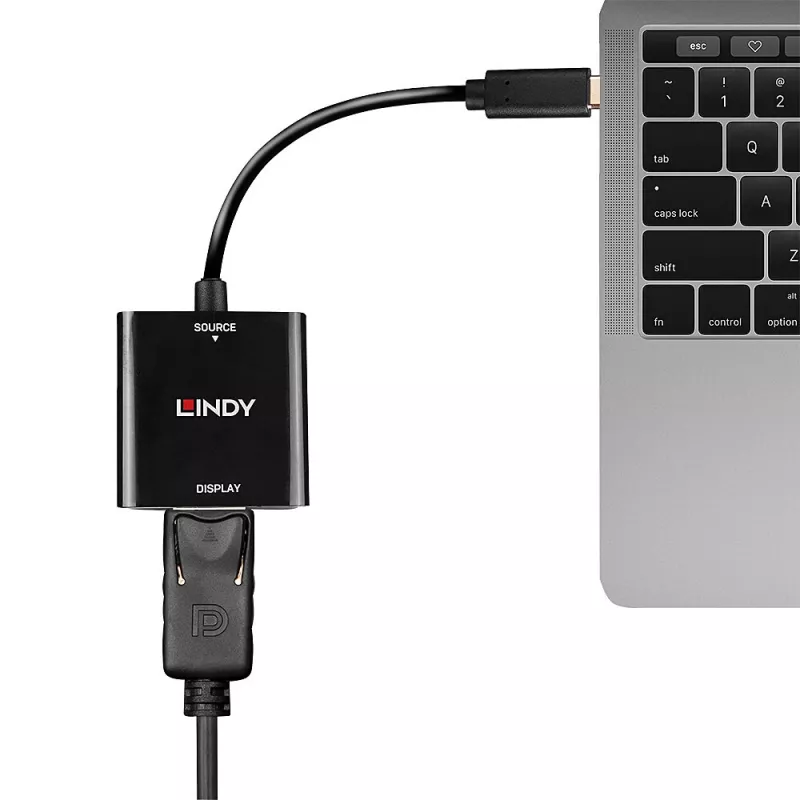 Lindy USB Type-C na DisplayPort 4K144 konvertor, USB Type-C, DisplayPort výstup, 3840 x 2160 pixelov
