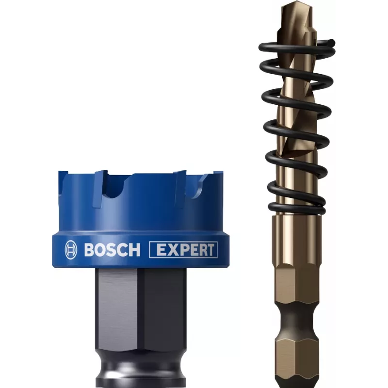 Bosch Expert 2608900496 výrezová píla 1 ks