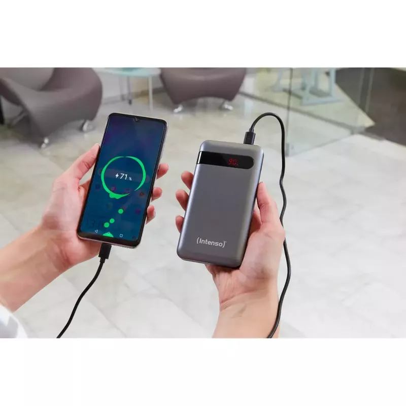 Prenosná powerbank Intenso PD10000 10000 mAh