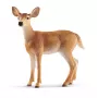 Figúrka Schleich WILD LIFE laň bielochvostá