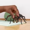 schleich Harry Potter Aragog, 6 rokov, magické bytosti, čierna, hnedá, biela, plast