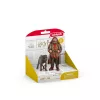 schleich Hagrid a Fang, 6 rokov, Harry Potter™, viacfarebná, plast