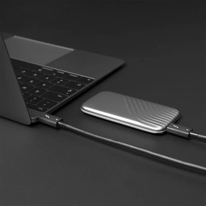 Lindy 1m Thunderbolt 4 kábel, 40 Gbit/s, pasívny, konektor samec, konektor samec, 1 m, 40 Gbit/s, čierny, nikel/zlato
