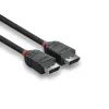 DisplayPort kábel Lindy 2m DisplayPort 1.2 kábel Black Line