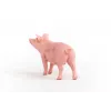 Schleich Farma prasa figúrka 13933, ružová, odporúčaný vek 3+
