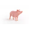 Schleich Farma prasa figúrka 13933, ružová, odporúčaný vek 3+