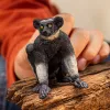 Figúrka Schleich WILD LIFE Indri viacfarebná 14877S odporúčaný vek 3 roky