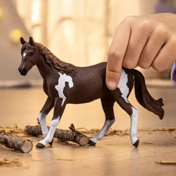 schleich HORSE CLUB Paint Horse kobyla, 5 rokov, kone, viacfarebné