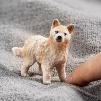 schleich WILD LIFE Polárny vlk mláďa, 3 roky, ľad a oceán, divé zvieratá / dobrodružná hračka, viacfarebné