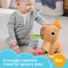 Hračkárske vodné prasiatko Fisher-Price Snuggly Snacky Capy 0,5 roka