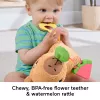 Hračkárske vodné prasiatko Fisher-Price Snuggly Snacky Capy 0,5 roka