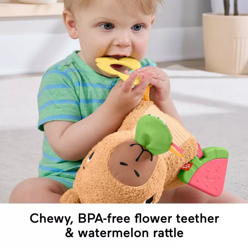 Hračkárske vodné prasiatko Fisher-Price Snuggly Snacky Capy 0,5 roka