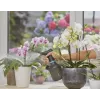 Pumpovací rozprašovač Gardena 11114-20