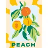 Maliarska sada Ravensburger CreArt — Peaches (kreatívna maliarska sada, model 25517)