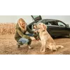 Bosch Fontus 18V vysokotlakový čistič vzpriamený batéria