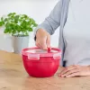 Dóza EMSA N10605 okrúhla 1,1 l červená transparentná 95 mm 16,7 cm