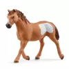 schleich Cowgirl Team Roping Fun, 3 roky, viacfarebné