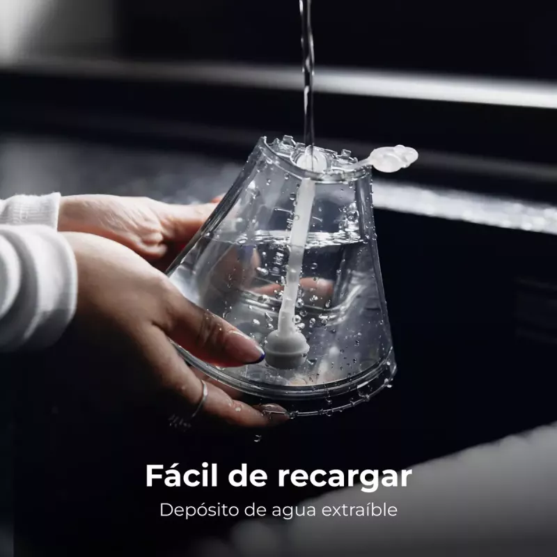Parná kefa AENO GS1