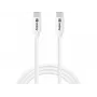 Sandberg USB-C USB-C 65W 1M SAVER, 1 m, USB C, USB C, USB 2.0, biela
