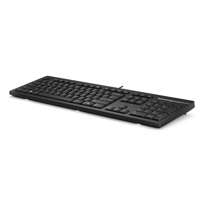 Klávesnica HP 125 USB WD KBD Bulk 12 Full-size Wired QWERTY