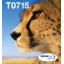 Epson Multipack 4 farieb T071 EasyMail, štandardná výdrž, čierna, azúrová, purpurová, žltá, 7,4 ml, 5,5 ml, 1 ks, multipack