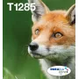 Inkjet multipack atramentové kazety Epson Fox T128 EasyMail — 4 farby (čierna 5,9 ml; azúrová/purpurová/žltá 3,5 ml)