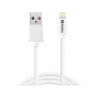 Sandberg USB-A na Lightning MFI 1M, 1 m, Lightning, USB A, biela, rovný, rovný