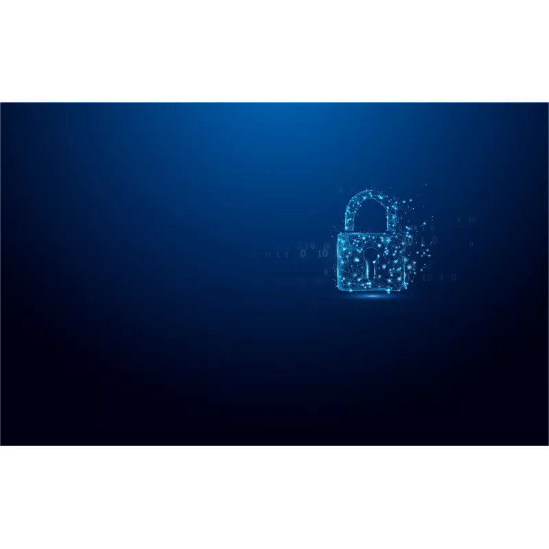 Kingston Technology IronKey 128 GB Vault Privacy 50 AES-256 šifrovaný, FIPS 197