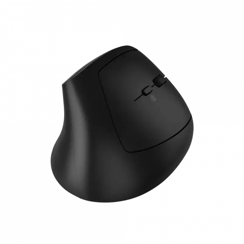 Myš CANYON MW-25 ergonomická LED AA dualmodus bezdrôtová čierna