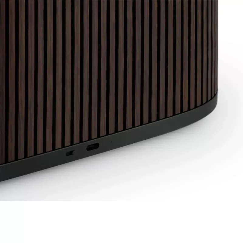 2.1 prenosný reproduktorový systém Bang & Olufsen BeoSound A5 hnedý 101 dB