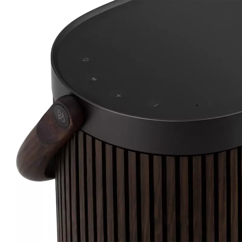 2.1 prenosný reproduktorový systém Bang & Olufsen BeoSound A5 hnedý 101 dB