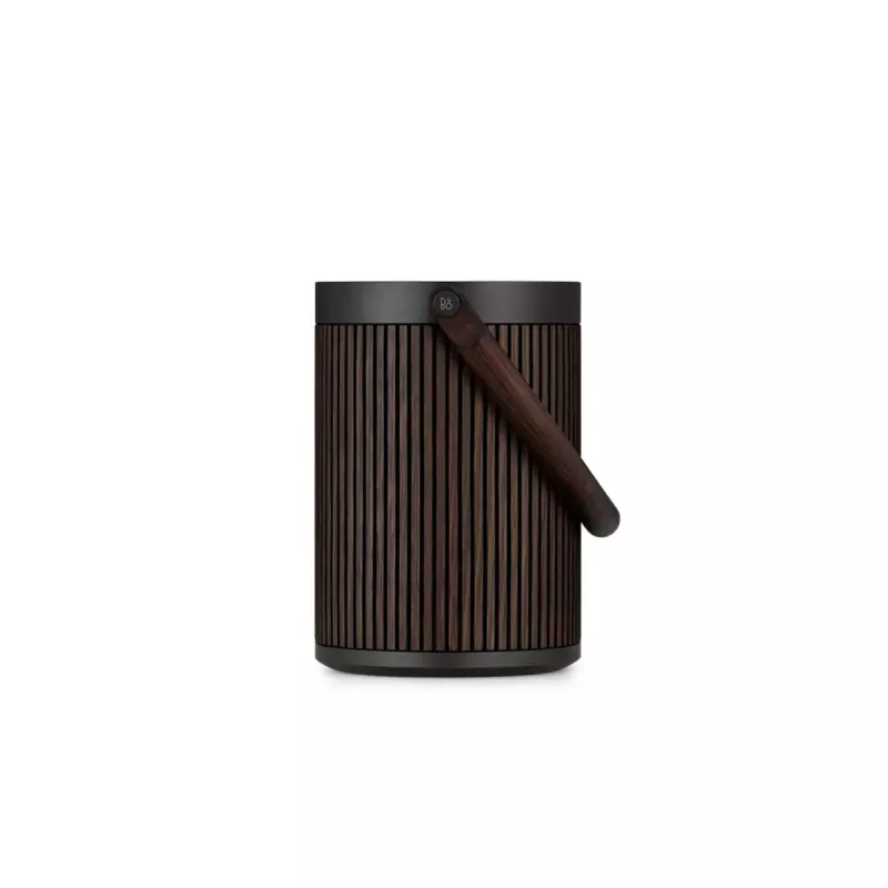 2.1 prenosný reproduktorový systém Bang & Olufsen BeoSound A5 hnedý 101 dB