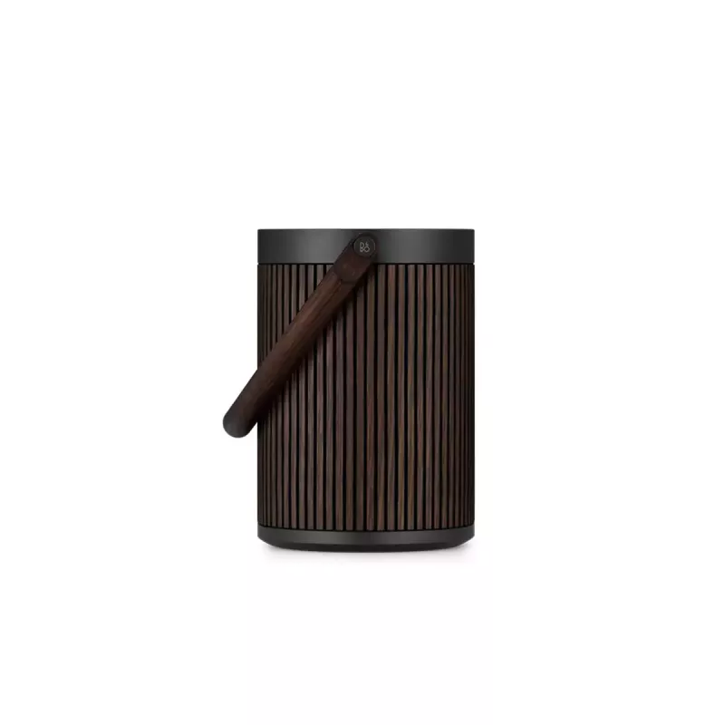2.1 prenosný reproduktorový systém Bang & Olufsen BeoSound A5 hnedý 101 dB