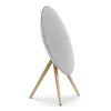 Reproduktor Bang & Olufsen BeoSound A9 1500 W