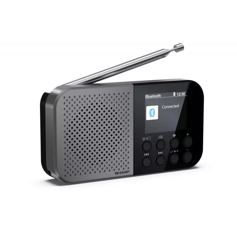 Osobné rádio Sharp DR-P520 digitálny tuner DAB DAB+ FM