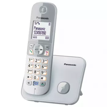 DECT telefón Panasonic KX-TG6811GS