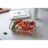 Box ZWILLING FRESH & SAVE obdĺžniková 2 L sivý