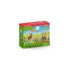 Pony agility tréning Schleich 42481 viacfarebné plast 3-8 rokov