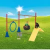 schleich Farm Life Agility tréning pre šteniatka, Farm World, 3 roky, viacfarebné
