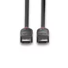 Lindy 0,5m DisplayPort 1.2 kábel, Black Line