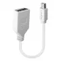 Lindy 0,20 m Mini DisplayPort na DisplayPort adaptérový kábel, 0,15 m, Mini DisplayPort, DisplayPort, konektor samec, konektor samica, biela