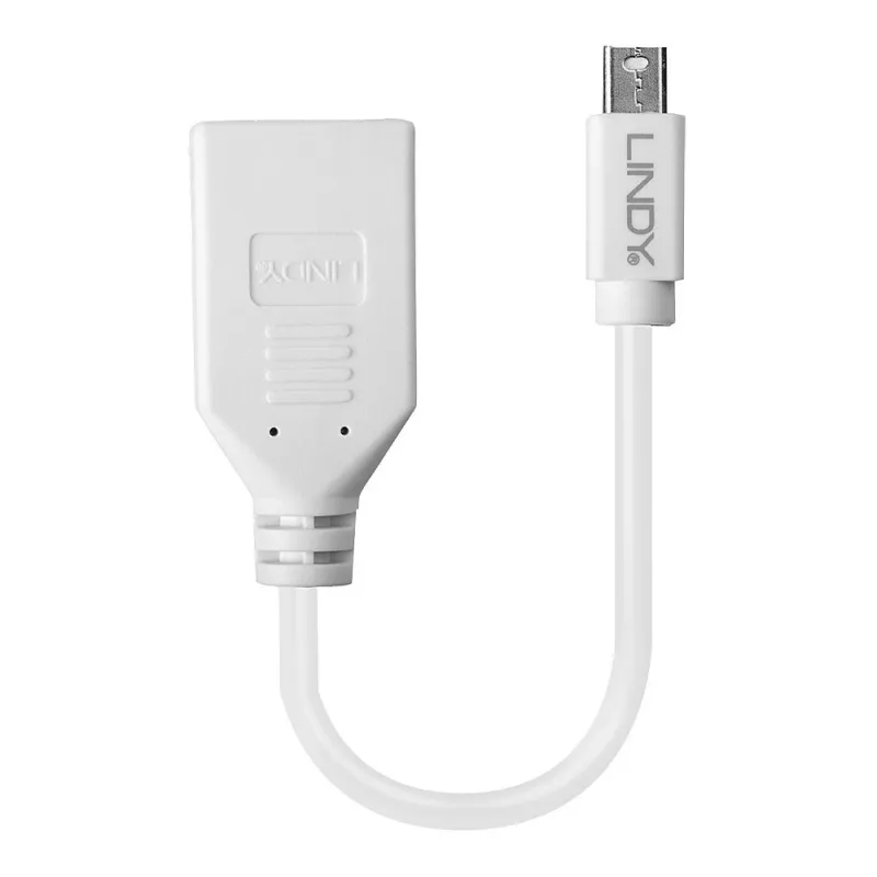 Lindy 0,20 m Mini DisplayPort na DisplayPort adaptérový kábel, 0,15 m, Mini DisplayPort, DisplayPort, konektor samec, konektor samica, biela