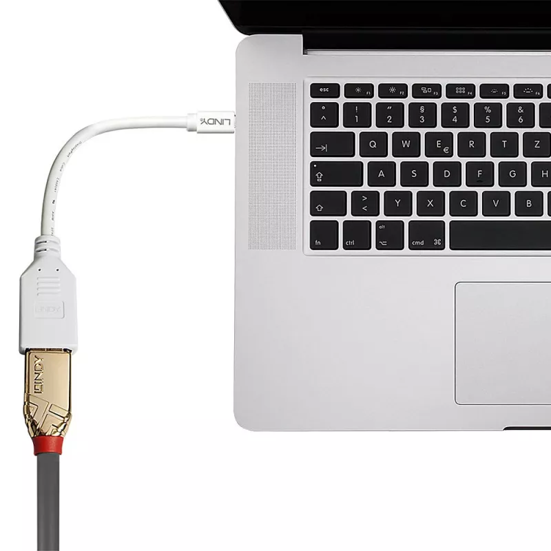 Lindy 0,20 m Mini DisplayPort na DisplayPort adaptérový kábel, 0,15 m, Mini DisplayPort, DisplayPort, konektor samec, konektor samica, biela
