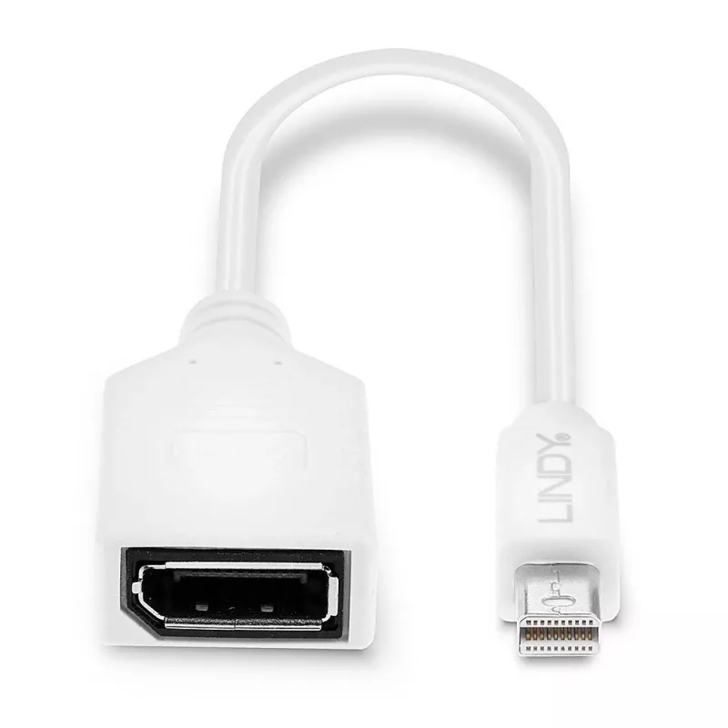 Lindy 0,20 m Mini DisplayPort na DisplayPort adaptérový kábel, 0,15 m, Mini DisplayPort, DisplayPort, konektor samec, konektor samica, biela